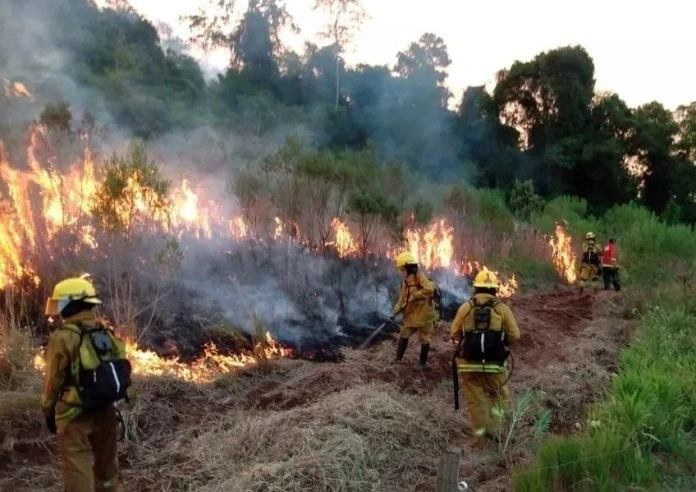 Las lluvias recientes no alcanzaron para reducir el riesgo de incendios en la provincia.