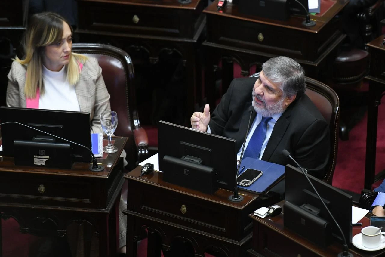 El senador también criticó la política exterior del Gobierno y defendió la neutralidad histórica argentina.