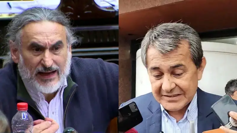 “Total desprecio”: Basterra acusó a Basualdo por desmontes ilegales y pidió embargar su dieta