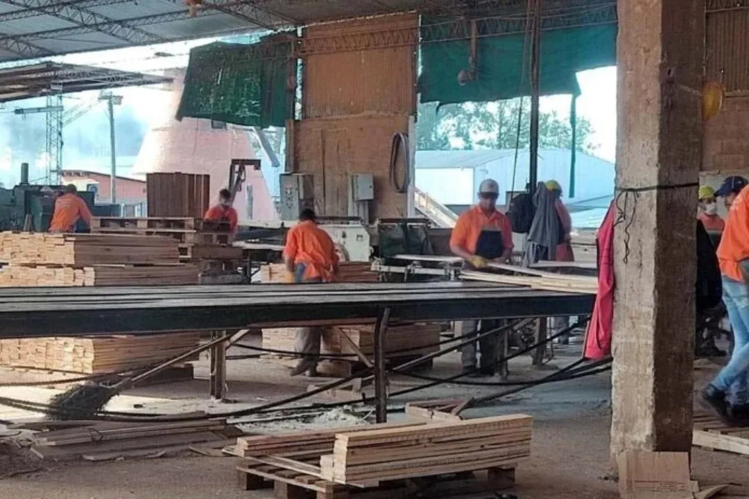 Aserradero de Azara anunció su cierre y 130 trabajadores quedaron sin empleo