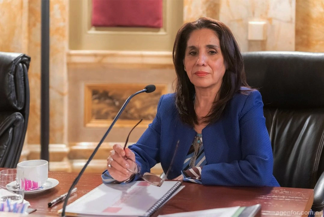 Diputada formoseña advierte: “La gente tiene que elegir entre comer, comprar un medicamento o pagar las tarifas”