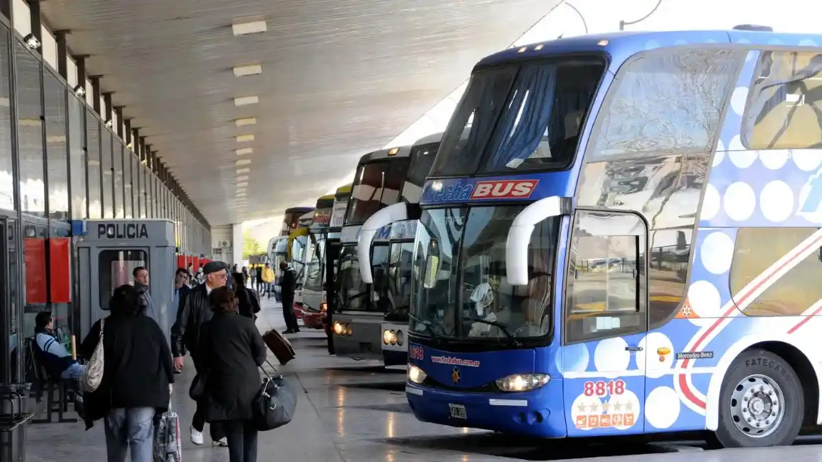 El gobierno nacional eliminó los subsidios a los pasajes para personas con discapacidad