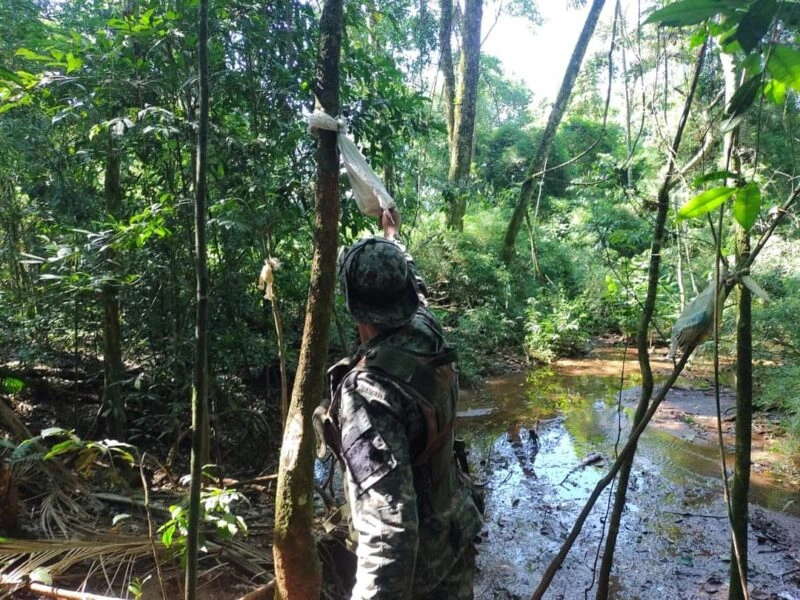 La selección busca cubrir jefaturas en Moconá, Urugua-í y Salto Encantado bajo el régimen del Cuerpo de Guardaparques.