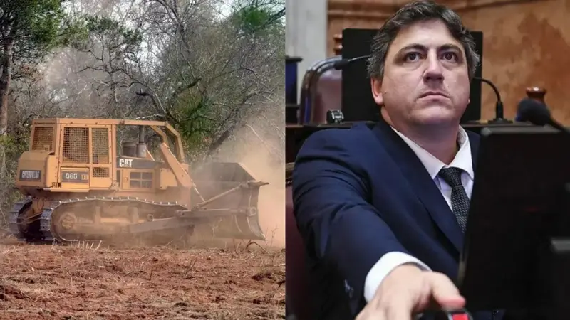 La Justicia condenó a Paoltroni por desmonte ilegal y deberá pagar una multa multimillonaria
