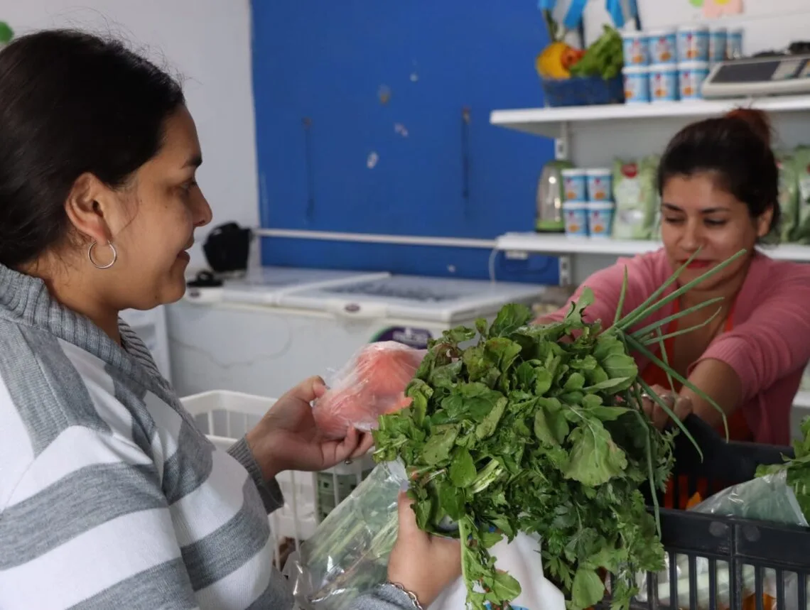Plan Nutrir Formosa cronograma semanal