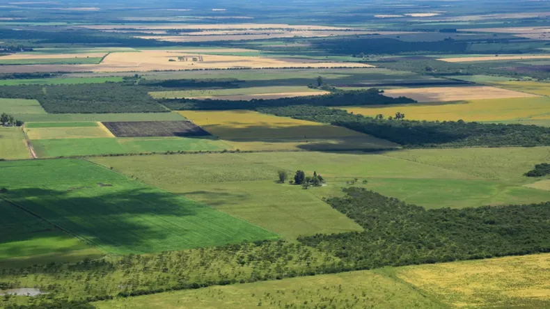 La Defensoría de Formosa rechazó derogar la Ley de Tierras por el riesgo para los recursos naturales