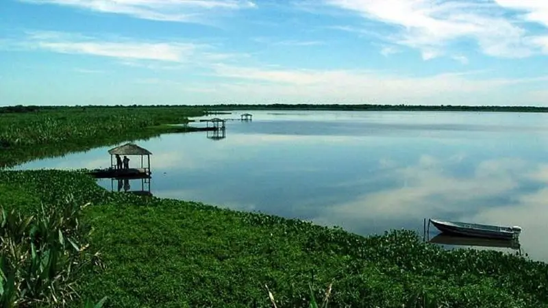 La Defensoría de Formosa rechazó derogar la Ley de Tierras por el riesgo para los recursos naturales