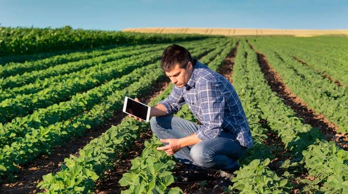 CONEAU otorgó la máxima acreditación a Ingeniería en Producción Agropecuaria de la Universidad Provincial de Laguna Blanca