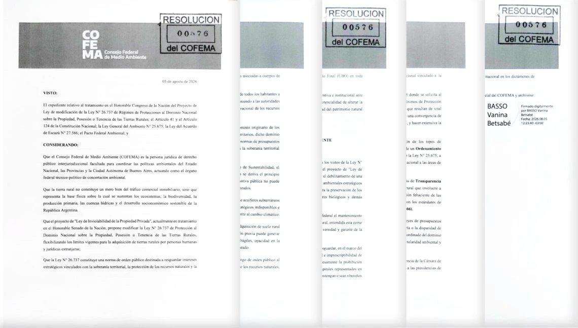 El COFEMA aprobó una resolución que será remitida al Senado antes del debate del proyecto de ley.