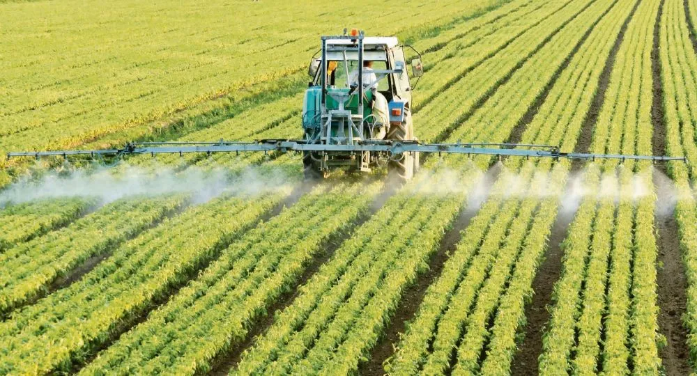 Misiones busca derogar la prohibición del glifosato y condiciona su reemplazo a la existencia de alternativas
