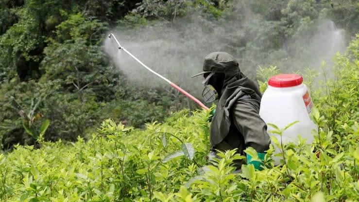 Misiones busca derogar la prohibición del glifosato y condiciona su reemplazo a la existencia de alternativas